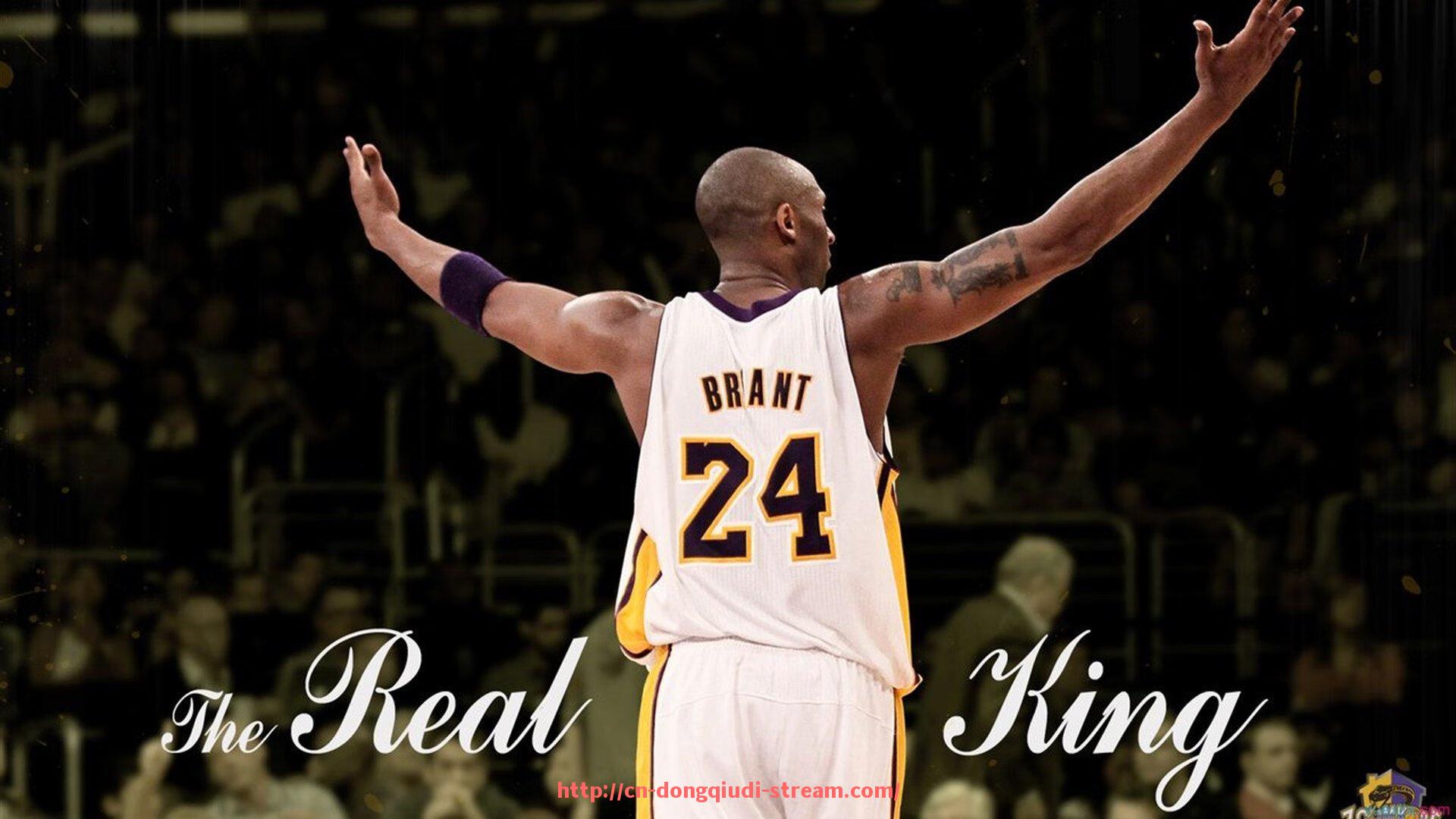 懂球帝直播-世俱杯对青训体系影响机制与长期发展价值